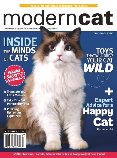 Modern Cat Magazine Subscription