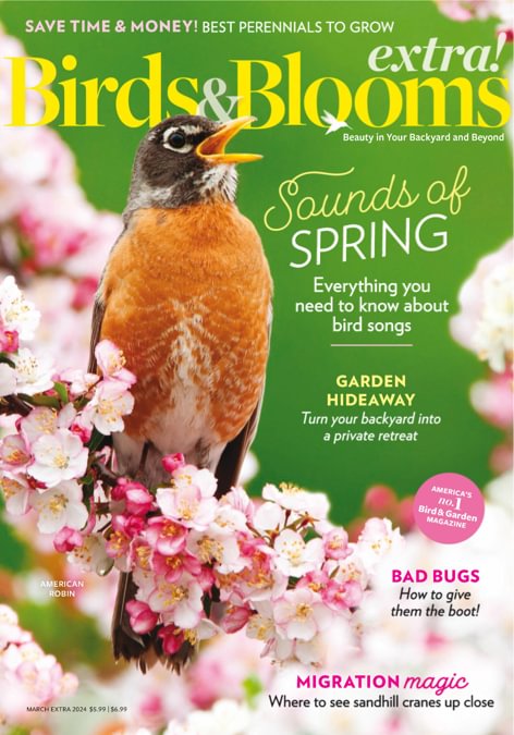 Birds & Blooms Extra