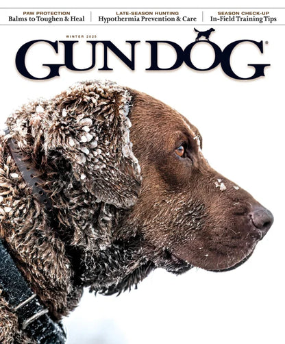 Gun Dog