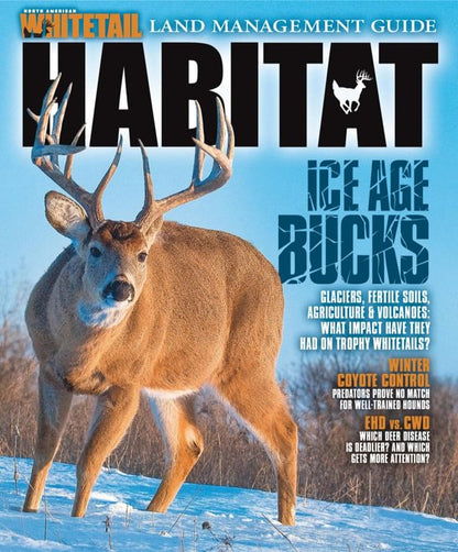 North American Whitetail