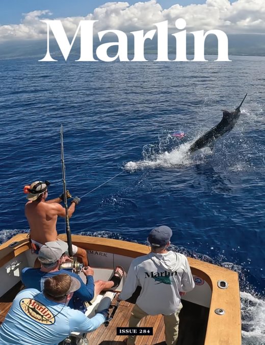 Marlin