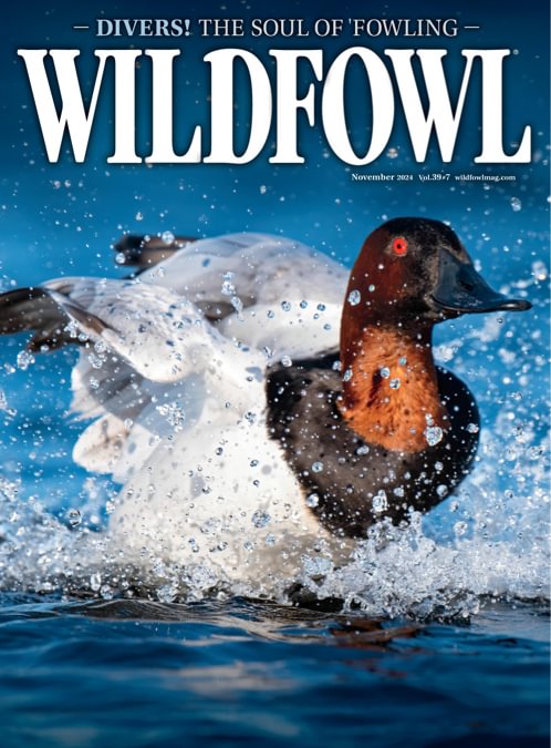 Wildfowl