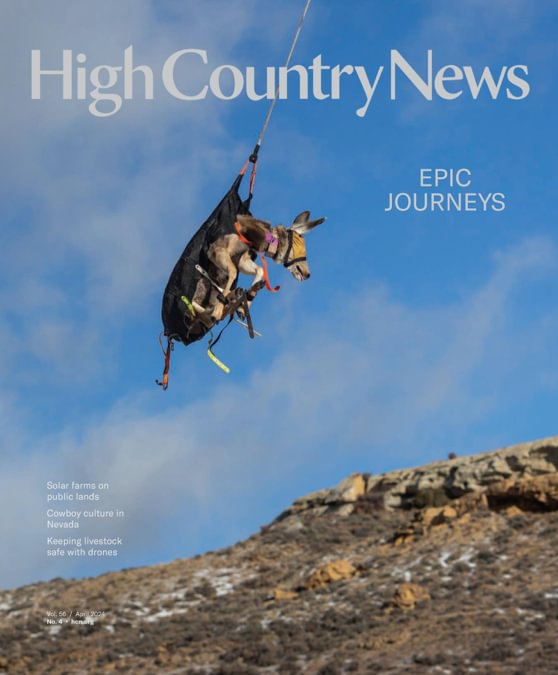 High Country News