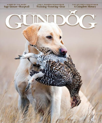 Gun Dog