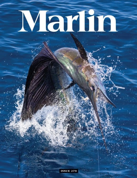 Marlin Magazine 1 Year Subscription