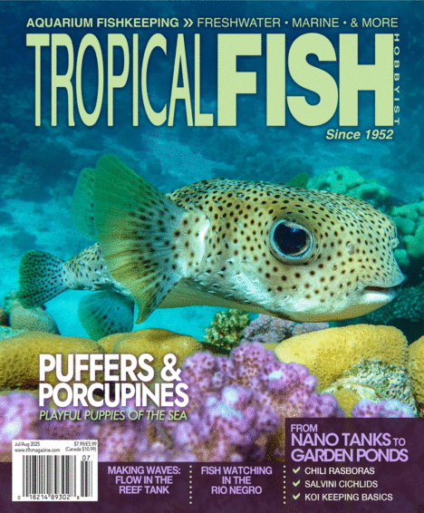 Tropical Fish Hobbyist