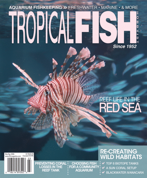 Tropical Fish Hobbyist