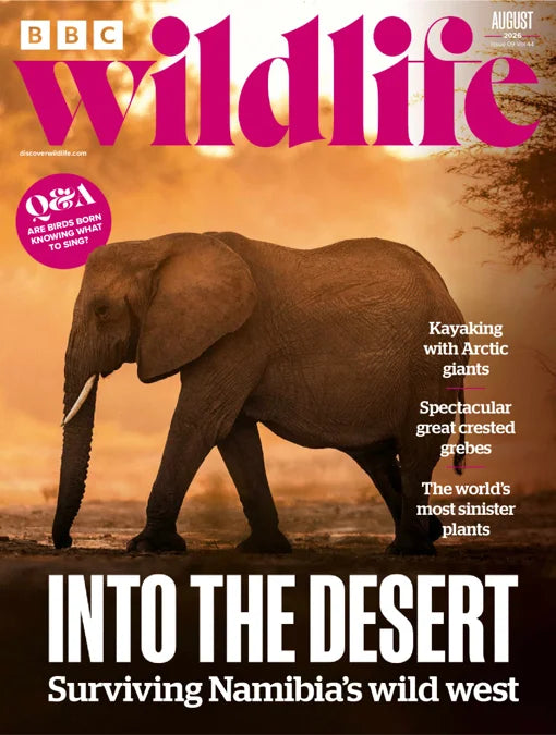 BBC Wildlife Magazine
