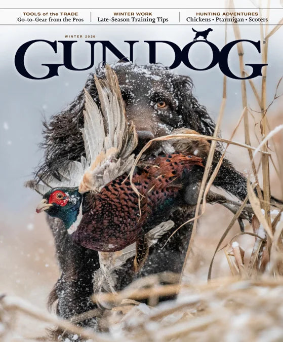 Gun Dog