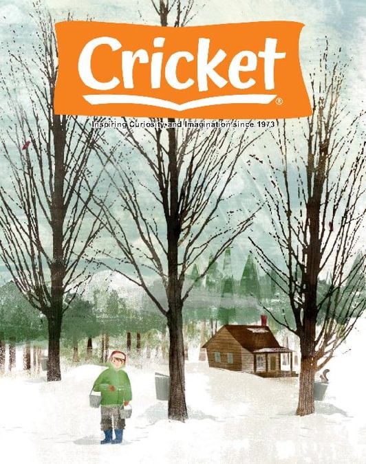 Cricket