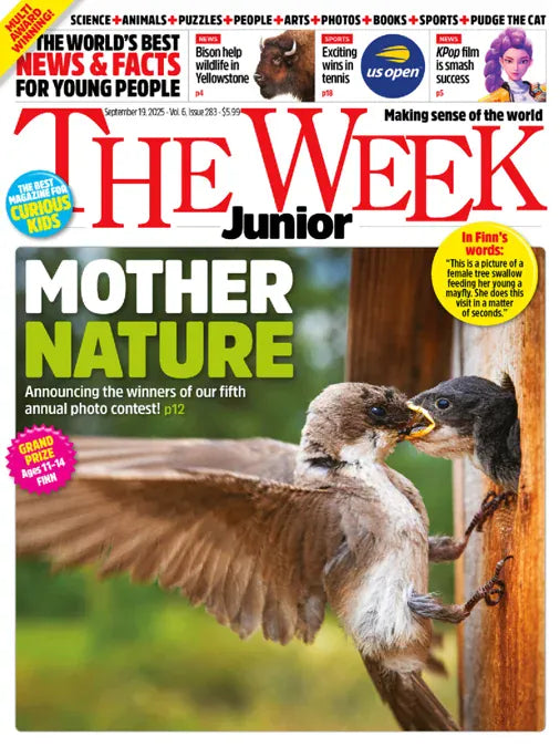 Jr Magazine The Week Junior Magazine Subscription – Total Magazines