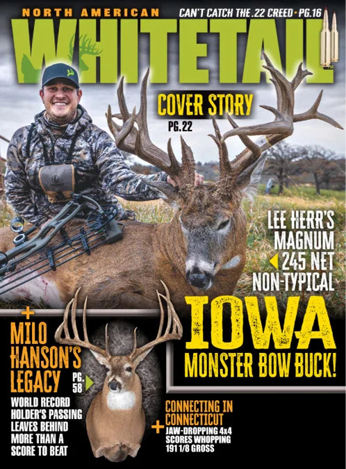 North American Whitetail