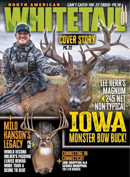 North American Whitetail