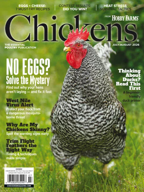 Chickens Magazine