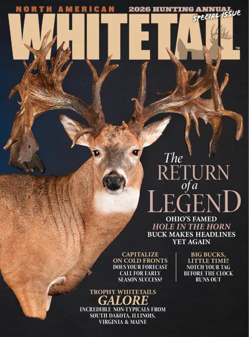 North American Whitetail