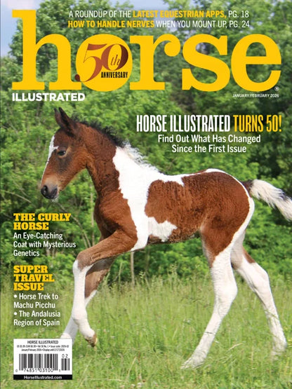 Horse Illustrated