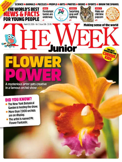 Jr Magazine The Week Junior Magazine Subscription