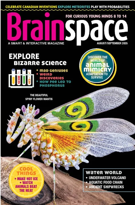 Brainspace