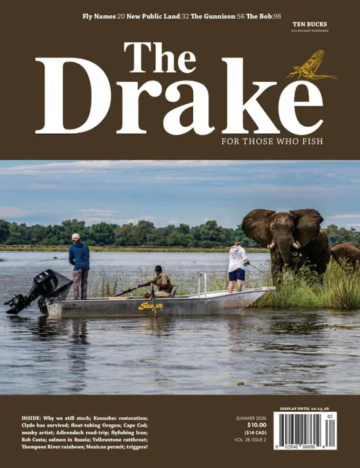 The Drake