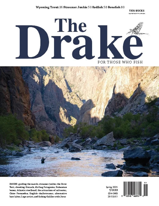 The Drake