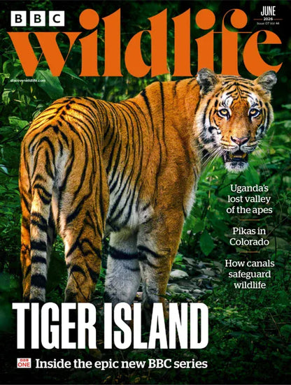 BBC Wildlife Magazine