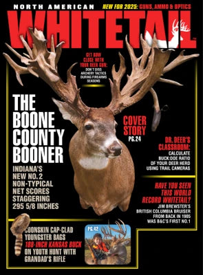 North American Whitetail