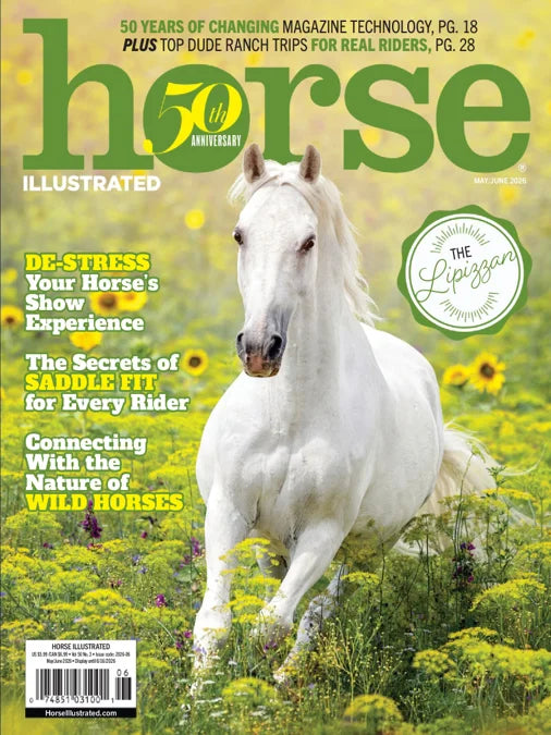 Horse Illustrated