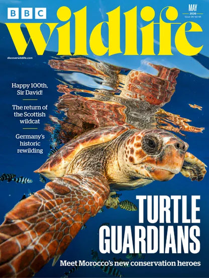 BBC Wildlife Magazine