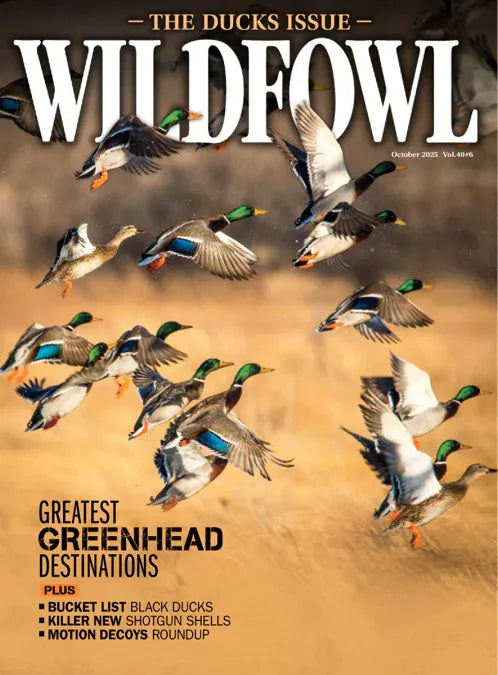 Wildfowl | Total Magazines
