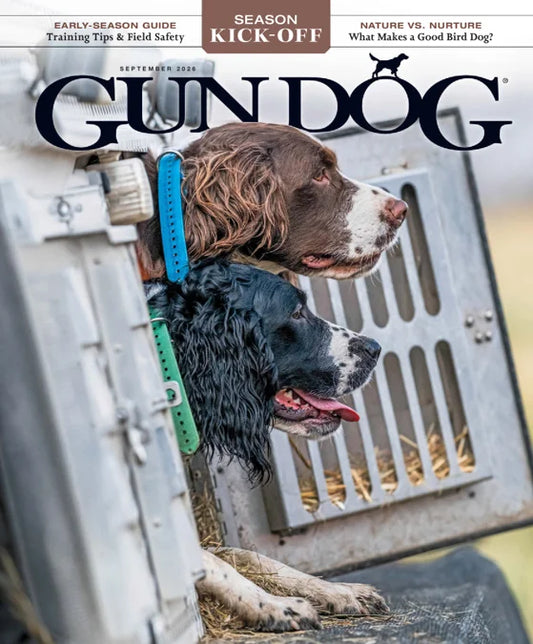 Gun Dog