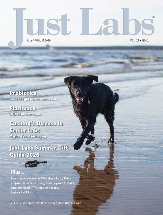 Just Labs
