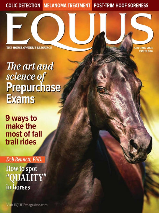 Equus | Total Magazines