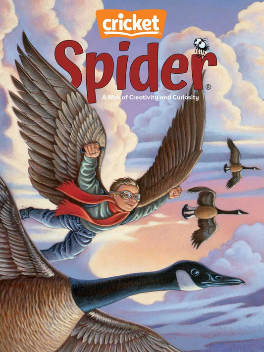 Spider