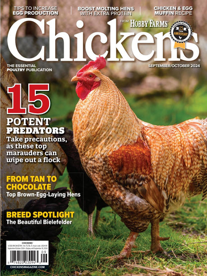 Chickens Magazine