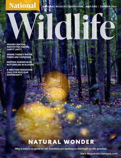 National Wildlife Magazine