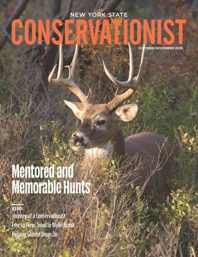 Conservationist