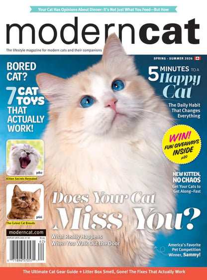 Modern Cat | Total Magazines