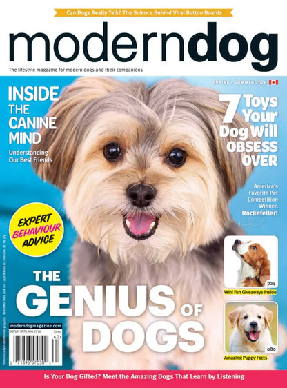 Modern Dog