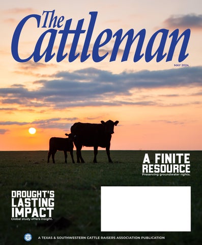 The Cattleman