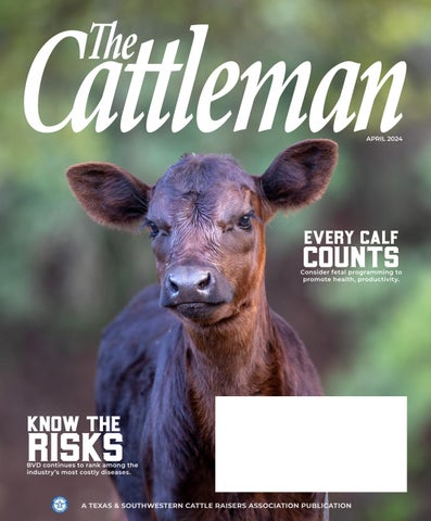 The Cattleman