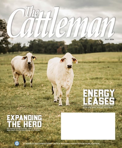 The Cattleman