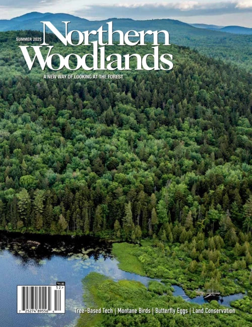 Northern Woodlands