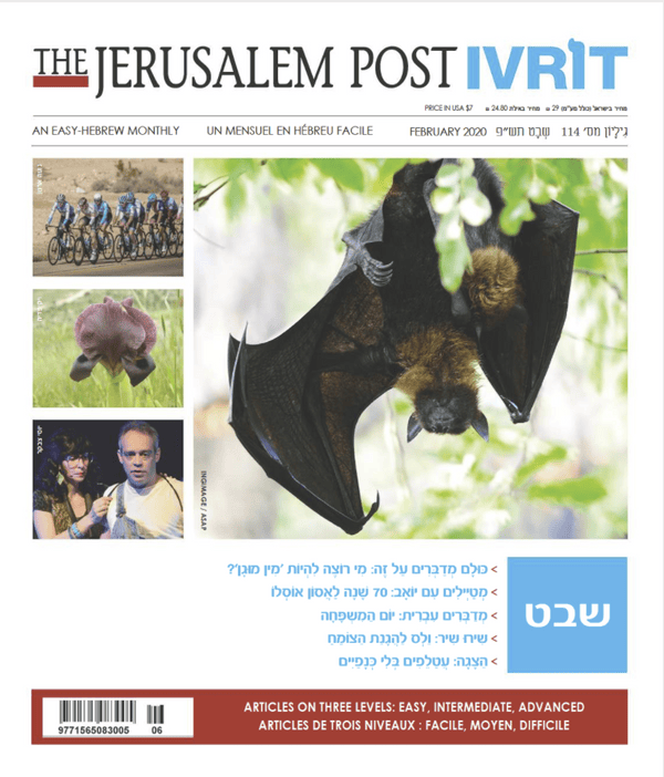 Ivrot The Jerusalem Post IVRIT Magazine Subscription