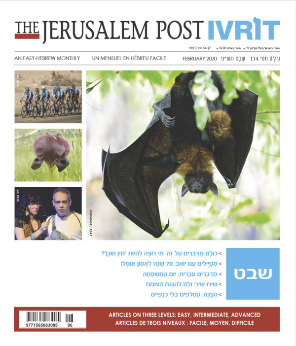 The Jerusalem Post IVRIT