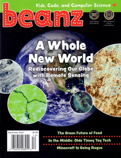 Beanz Magazine Subscription Total