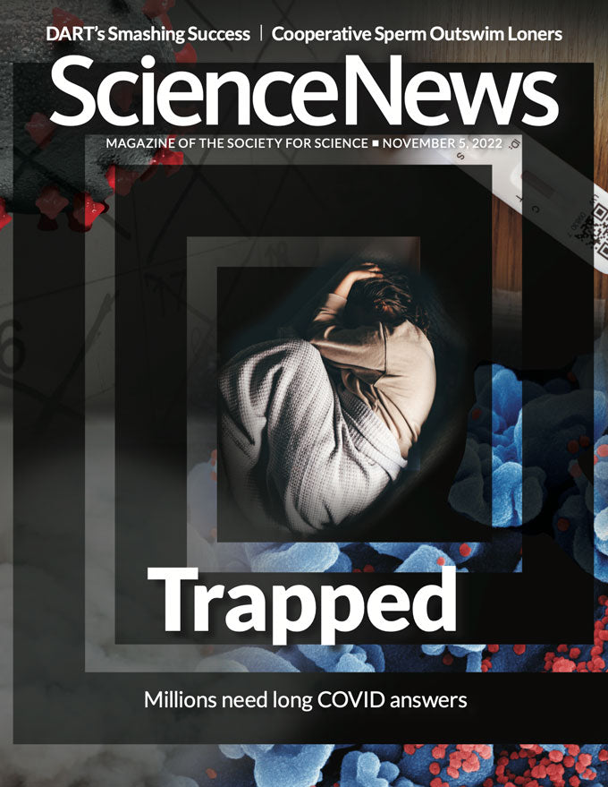Science News Magazine Subscription Total Magazines