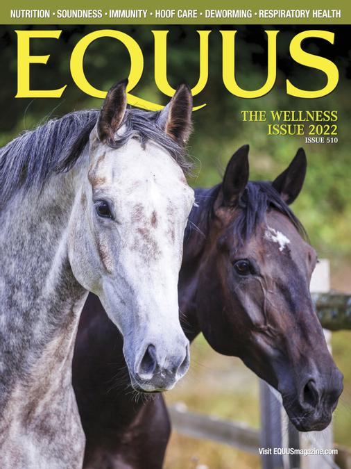 コレクション equus 雑誌